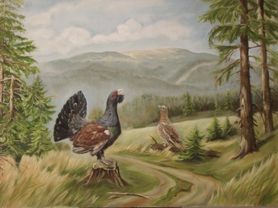 hluchánia romantika-olej50x65cm