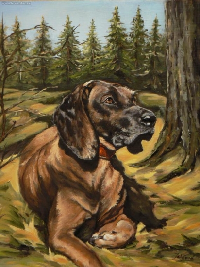 farbiar-olej 30x35cm