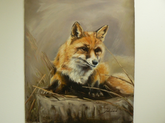 líška II-olej 35x30cm