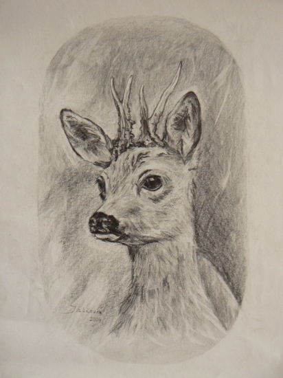 srnček-ceruza
