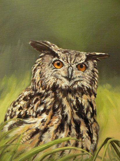 Výr-olej na sololite 35x30cm