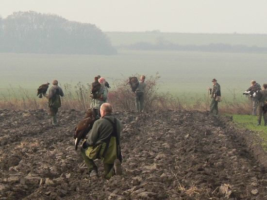 sokoliari v akcii-medzinár.stret.Sečovce 2008
