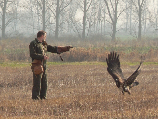 krása a sila dravca
