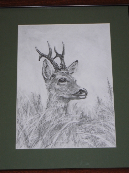 srnec-ceruza 30x40cm