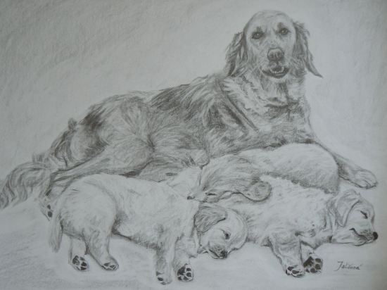 starostlivá mama-ceruza