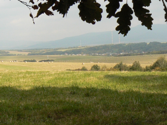 vôňa leta