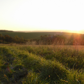 príroda v podvečer