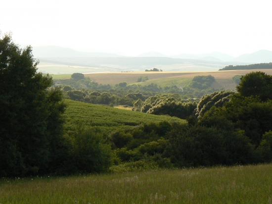v krajine