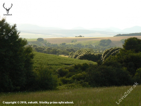 v krajine
