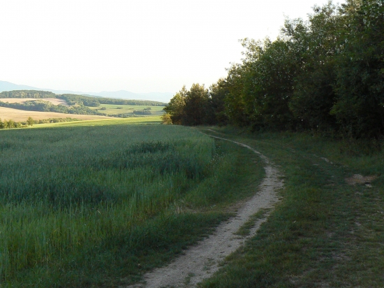 návrat