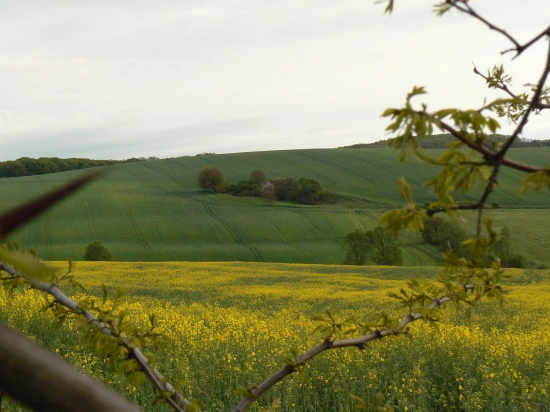 v doline