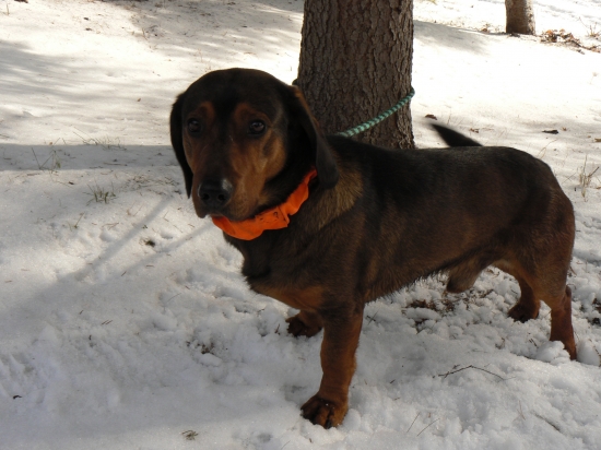 Kde ten môj pán toľko ....?