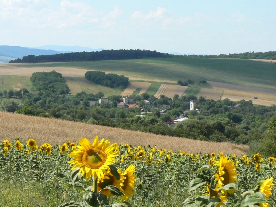 spomienka na leto
