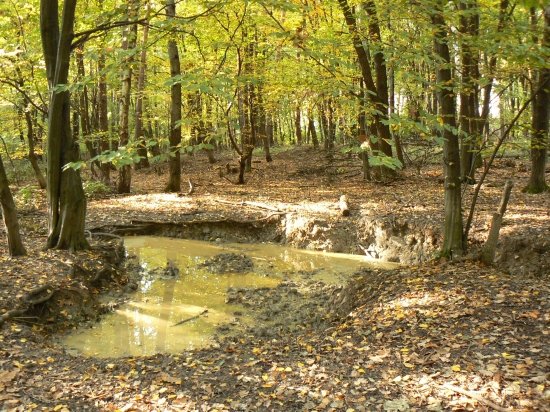diviačia oáza