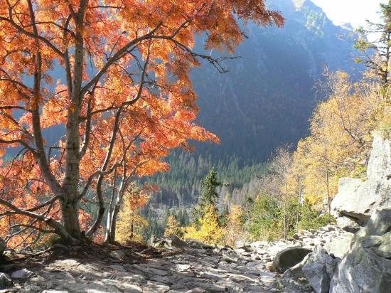 čarovná tatranská príroda