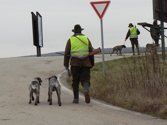 zo spoločnej na drobnú-presun