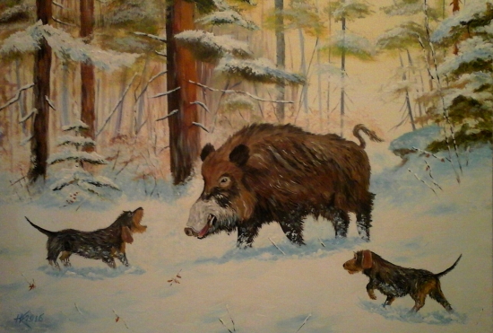 Diviak s jazvečíkmi