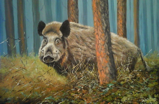 Diviak v jesennom lese