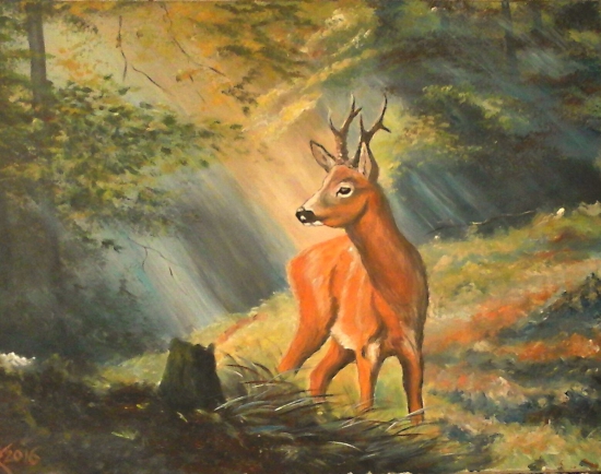 Srnec v rannom svetle