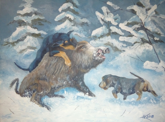 Ranený diviak so psami