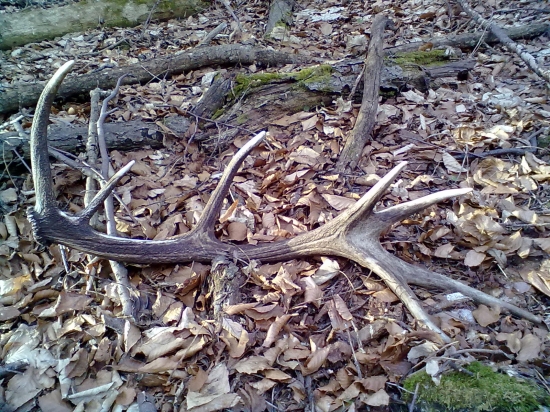 tento rok prvý,ale zhod minuloročný.....