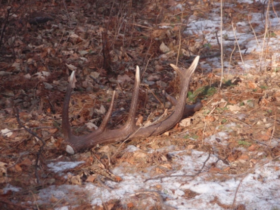 krásny druhý v tomto roku :))