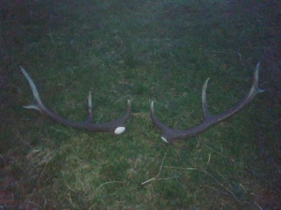 prvé tohoročnéé :)