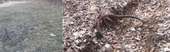 včerajší a dnešný dohľadaný pár k nemu