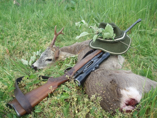 Sen každého srnčiara...