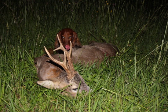 Krásna chuť večerného úspechu...