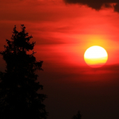 Čakanie na hlucháňa