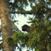 Prvý a určite nie posledný hluchání zážitok