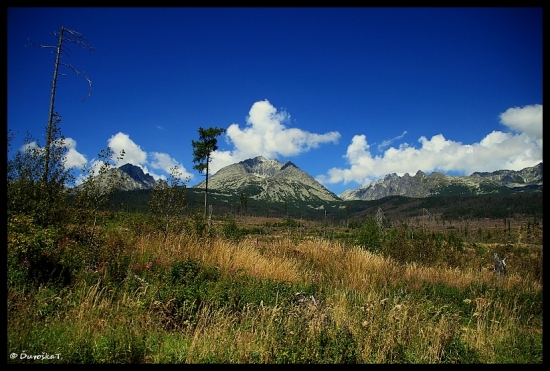 Tatry