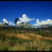 Tatry