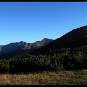 Prostredie vysokohorskej ruje