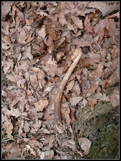 Žiaľ, iba torzo ...