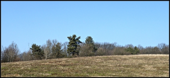 na lucerke