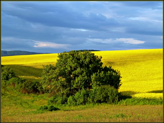 Moja obľúbená ... :-)