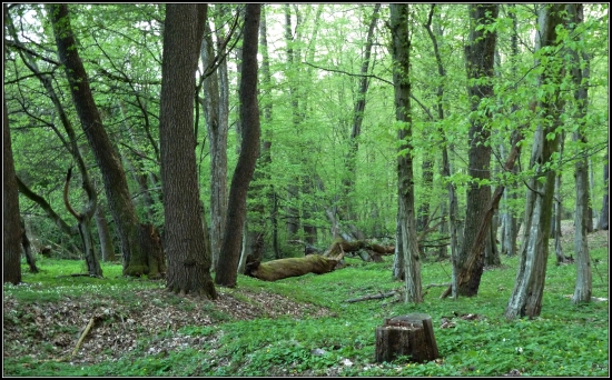 Nevydržal - spadol ...