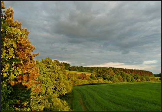 včera z posedu  2 ...