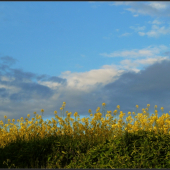 Trochu sa mračí ...