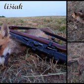 Lišiak, 223 Rem. Federal 3,6 g FMJ, 180 krokov