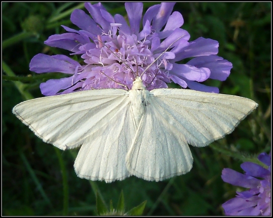 farebne zladený ...