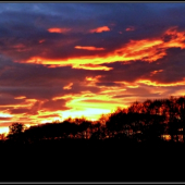 podvečerná obloha...