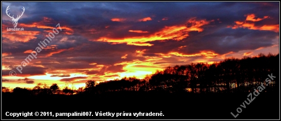 podvečerná obloha...