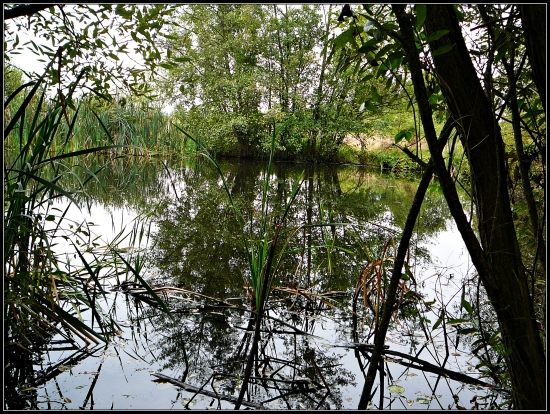 zrkadlenie ...
