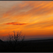 podvečerná obloha ...
