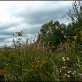 len tak - cestou na posed ...