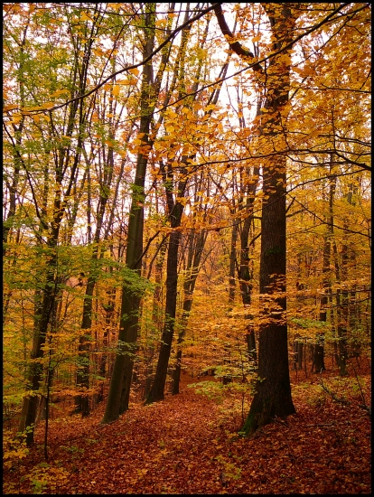 príprava na jeseň ... :-)