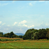 Na lúke pri Ipli ...